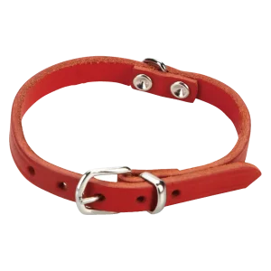 Beeztees Halsband Hond Leer Rood 23-28 cmx10 mm