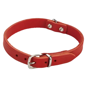 Beeztees Halsband Hond Leer Rood 32-37 cmx16 mm