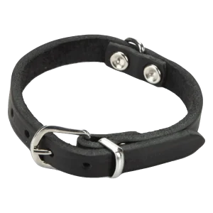 Beeztees Halsband Hond Leer Zwart 17.5-22.5 cm x 10 mm