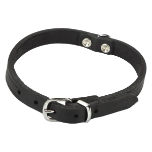 Beeztees Halsband Hond Leer Zwart 27-33 cm x 12 mm