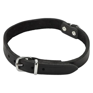Beeztees Halsband Hond Leer Zwart 35.5-41.5 cm x 18 mm