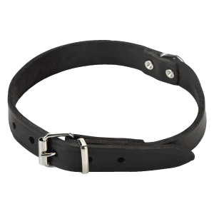 Beeztees Halsband Hond Leer Zwart 37.5-46.5 cm x 20 mm