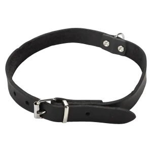 Beeztees Halsband Hond Leer Zwart 43-52 cm x 20 mm