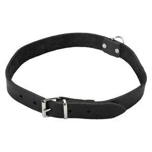 Beeztees Halsband Hond Leer Zwart 55-65 cm x 25 mm