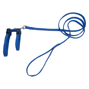 Beeztees Kattentuigje Nylon Blauw