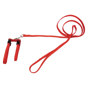 Beeztees Kattentuigje Nylon Rood