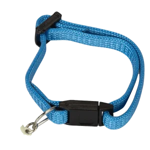Beeztees Kittenhalsband Nylon Blauw