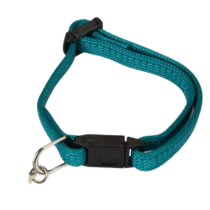 Beeztees Kittenhalsband Nylon Groen