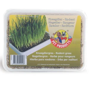 Beeztees Knaagdiergras in Box - 130 Gram