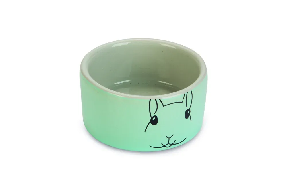 Beeztees Konijn - Voerbak - Mint - 5.5x12.1x12.1 cm