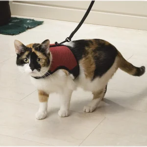 Beeztees Loopharnas Comfort - Kattentuigje