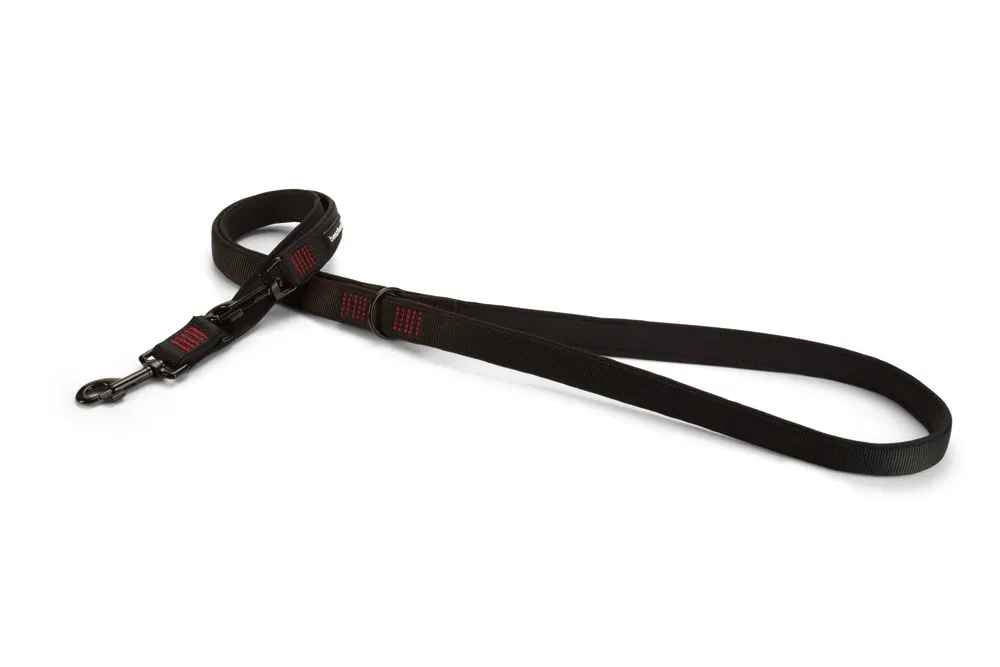 Beeztees Premium Parinca - Dressuurlijn - Trainingslijn Hond - grijs - 200 cm
