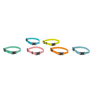 Beeztees Puppy Halsband Hond Assorti 6 st