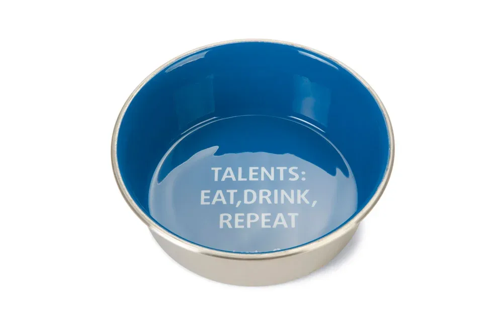 Beeztees Talents Hond RVS - Voer en drinkbak - Blauw - 20 cm