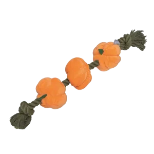 Beeztees Touw met Pompoenen