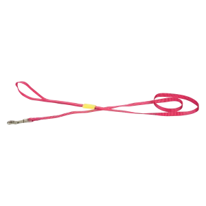 Beeztees Uni Hondenriem Roze 120 cm x 10 mm