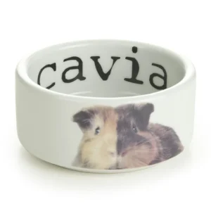 Beeztees Voer of drinkbak Snapshot cavia