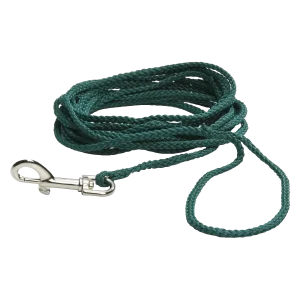 Beeztees Zoeklijn Hondenriem Nylon Groen 10 m