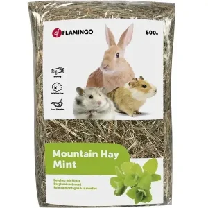 Berghooi Munt 500 Gram