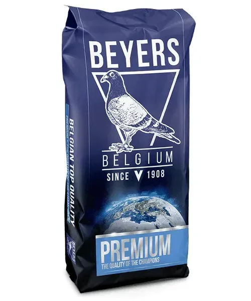 Beyers Premium Jelle Jellema Power