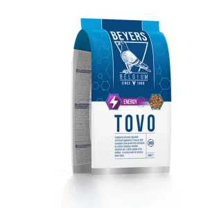 Beyers Tovo Condition-and Rearing - Duivenvoer