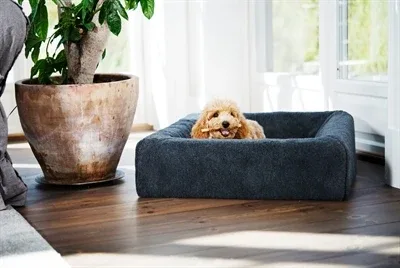 Bia Bed Fleece Hoes Hondenmand Bia 2 60x50x12,5 cm - Grijs - Image 2