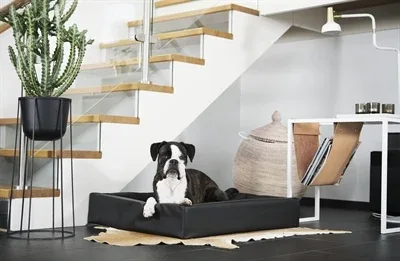 Bia Bed Hondenmand Original Bia 7 120x100x15 cm - Zwart - Image 2
