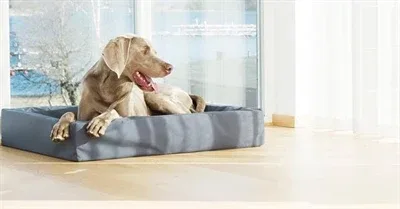 Bia Bed Kunstleer Hoes Hondenmand Bia 7 120x100x15 cm - Grijs - Image 2