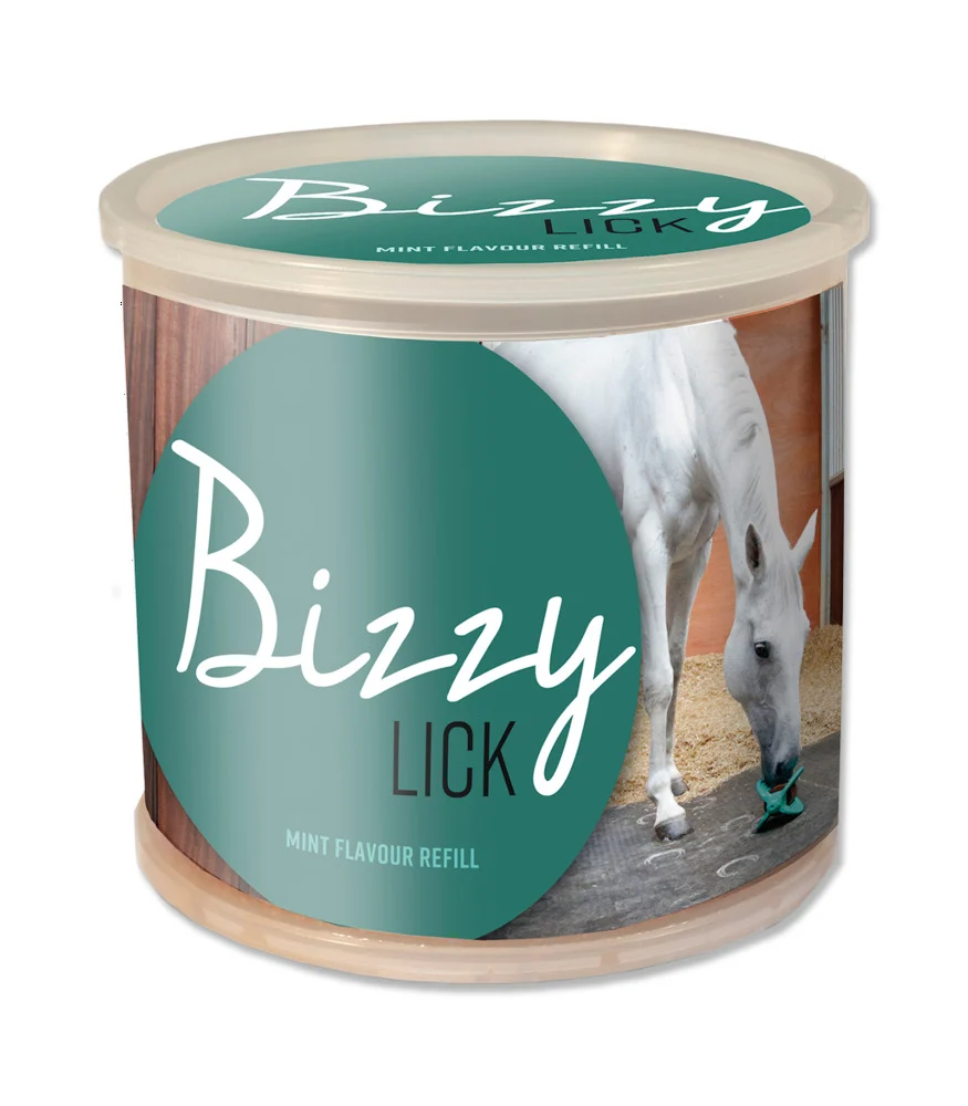 Bizzy Lick - Liksteen Mint - 1 Kilogram - Pot - mint