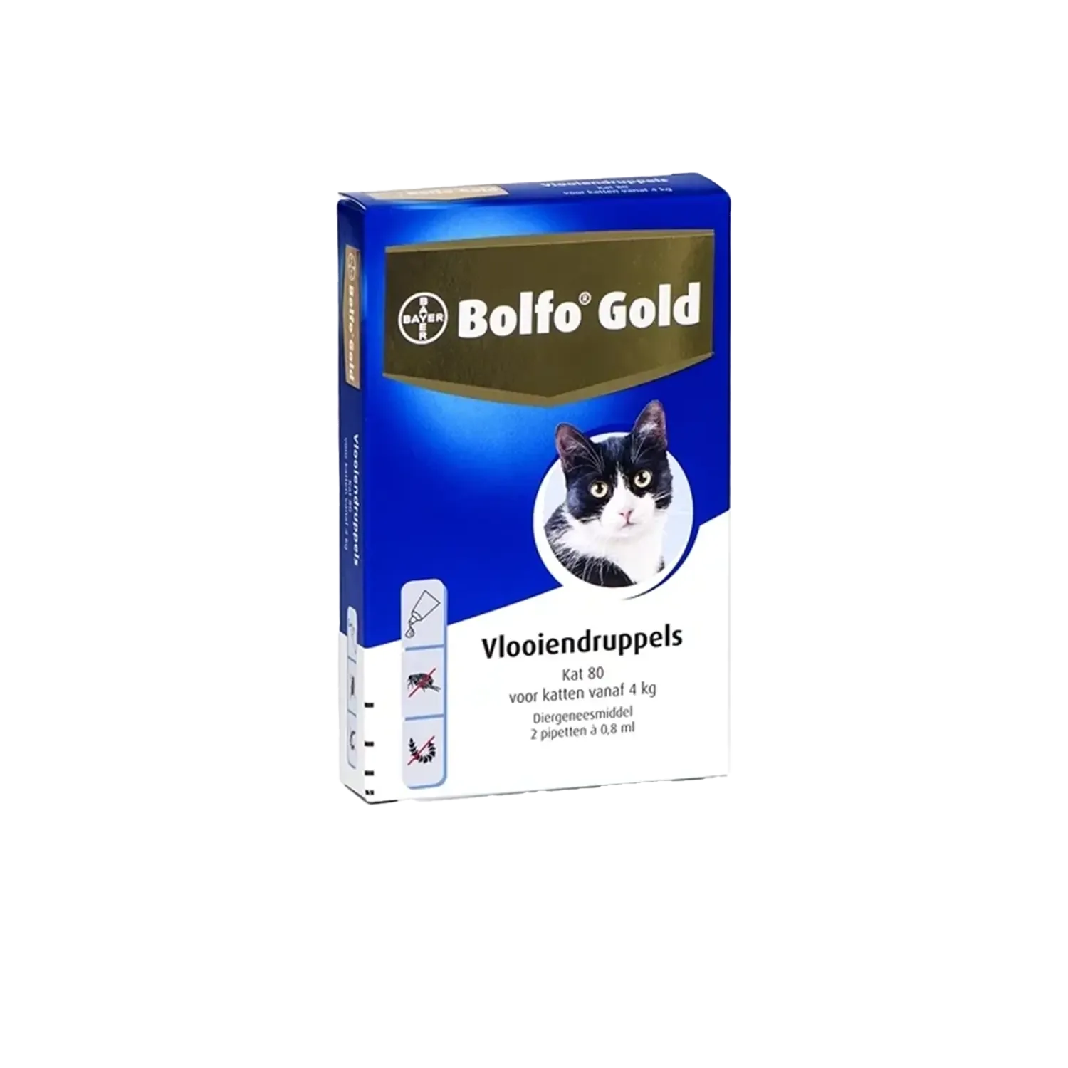 Bolfo Gold Kat Anti-Vlo vanaf 4 kg 2 pipetten