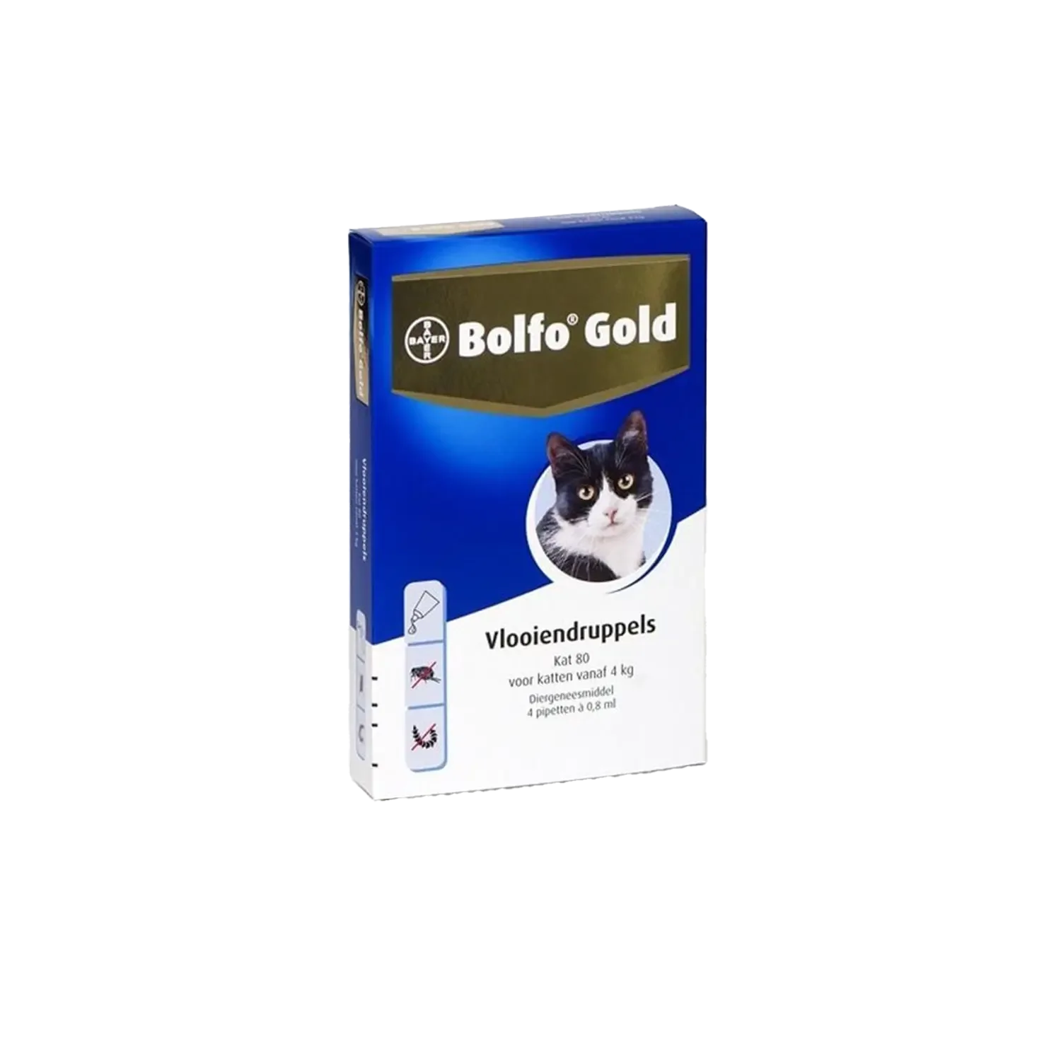 Bolfo Gold Kat Anti-Vlo vanaf 4 kg 4 pipetten