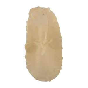 bone! Kauwschoen 13cm