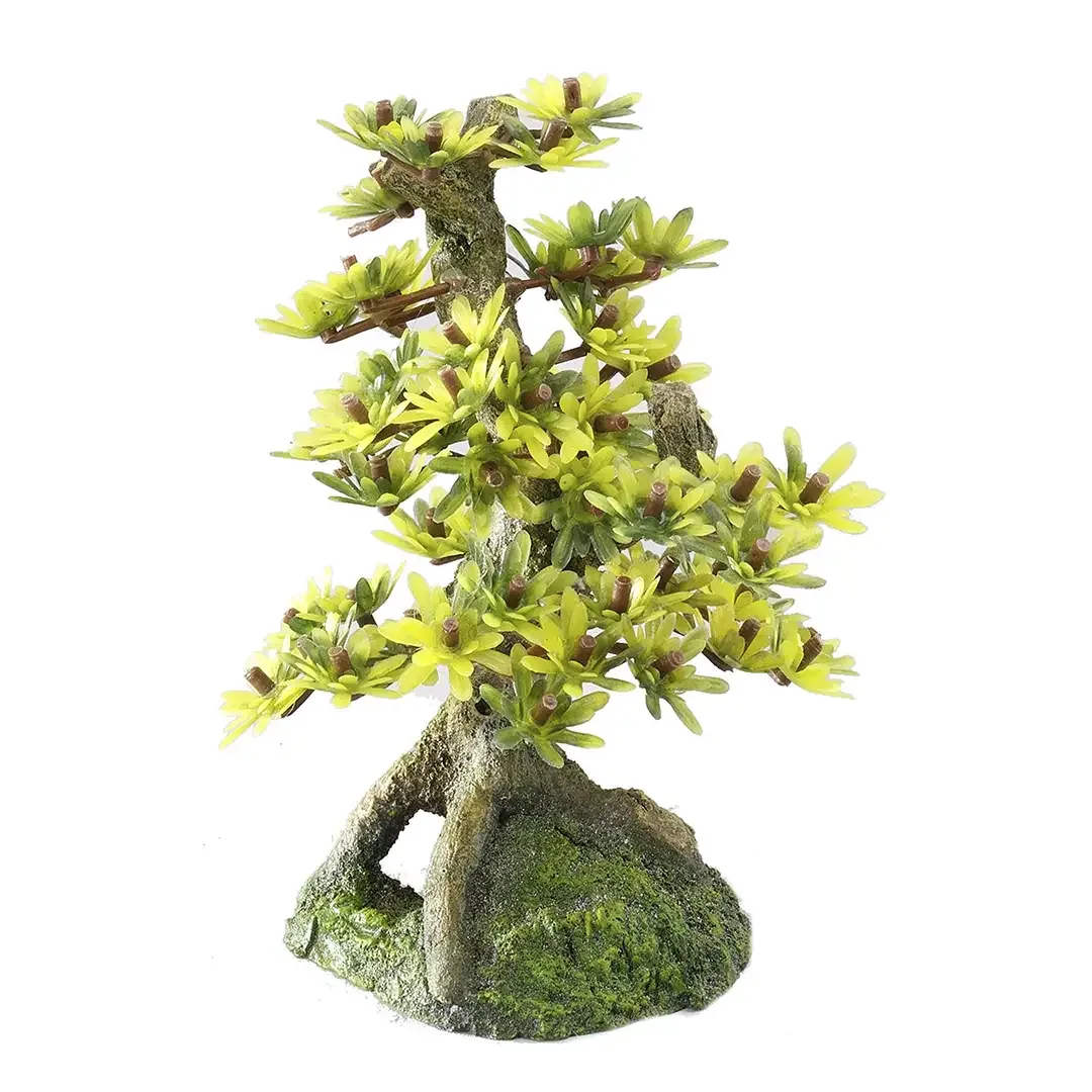 Bonsai Medio Sort B 15CM