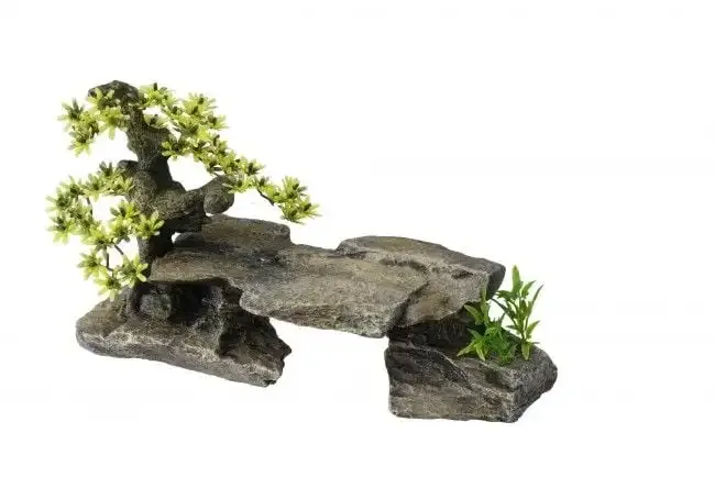 Bonsai Steen met Planten
