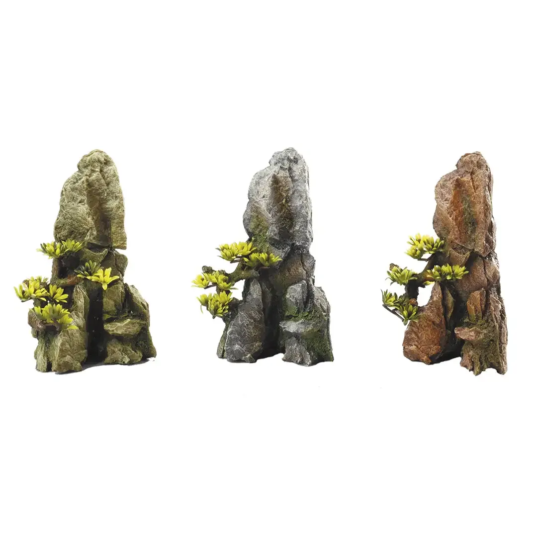 Bonsaislate 17cm – display