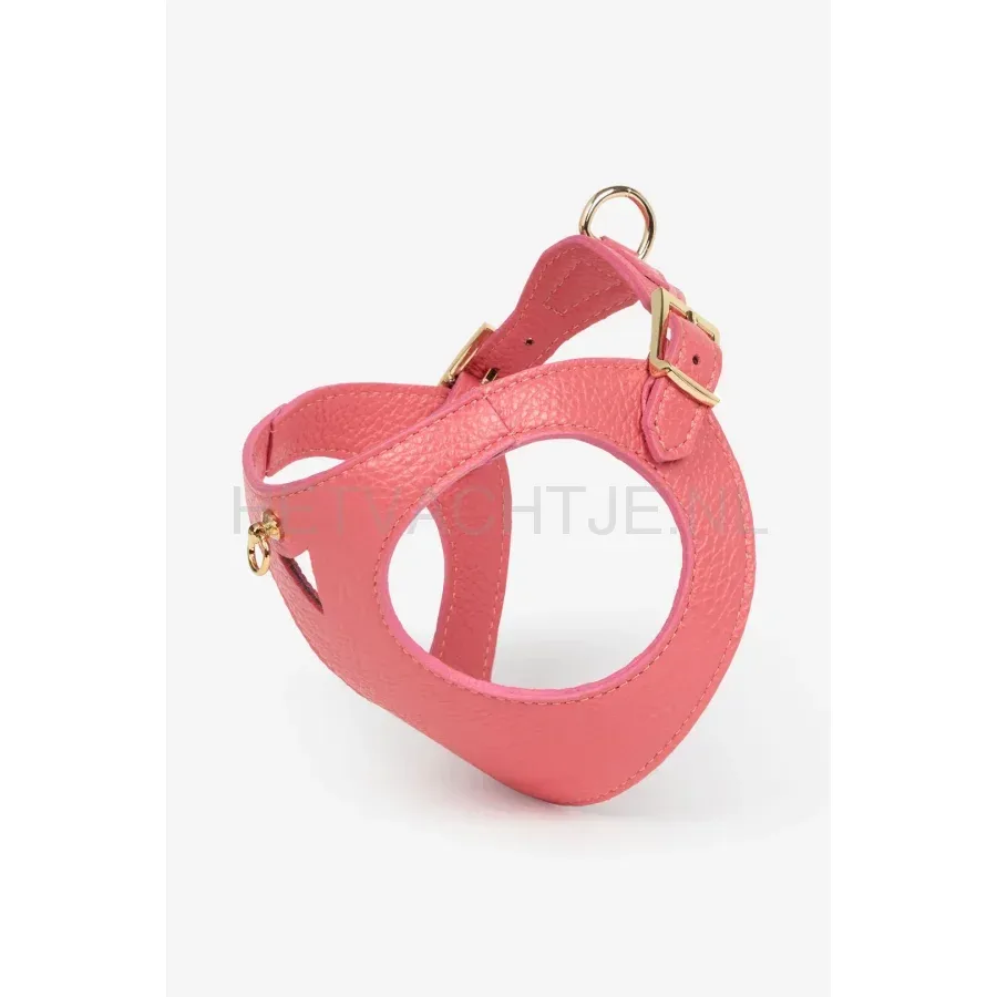 BRANNIPETS - Coral Juno Tuig