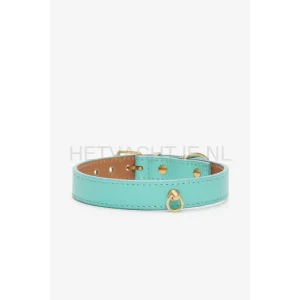 BRANNIPETS - Turquoise Juno Halsband