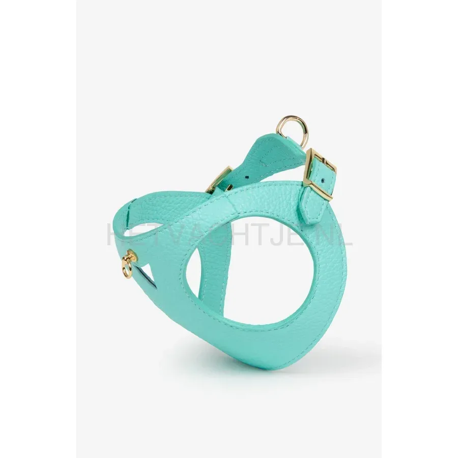 BRANNIPETS - Turquoise Juno Tuig