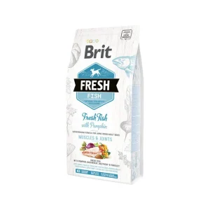 Brit Fresh Fish with Pumpkin