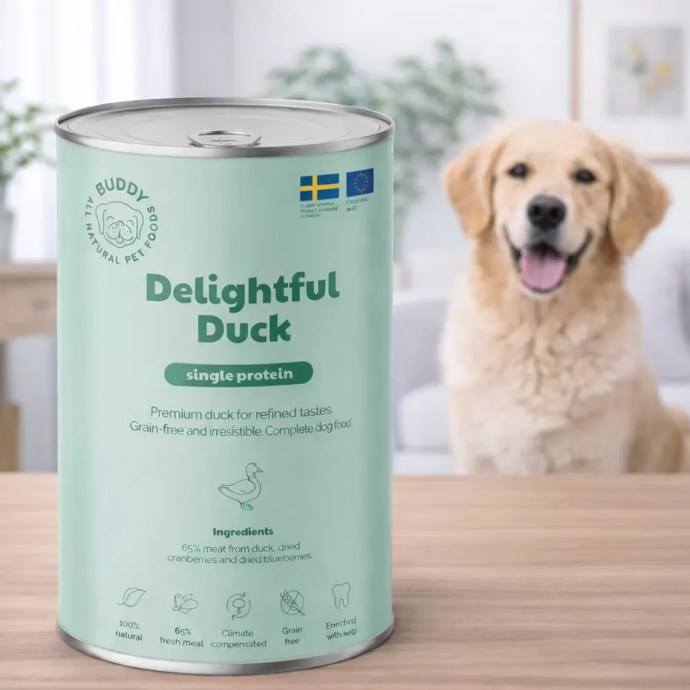 Buddy Can Delightful Duck - Image 2