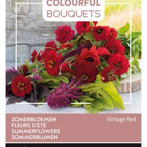 Buzzy Colourful Bouquets Vintage Red - Bloemzaden