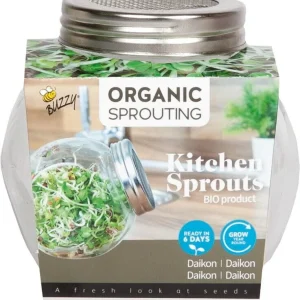 Buzzy庐 Organic Sprouting - Kiempot Daikon - 7.5 Gram