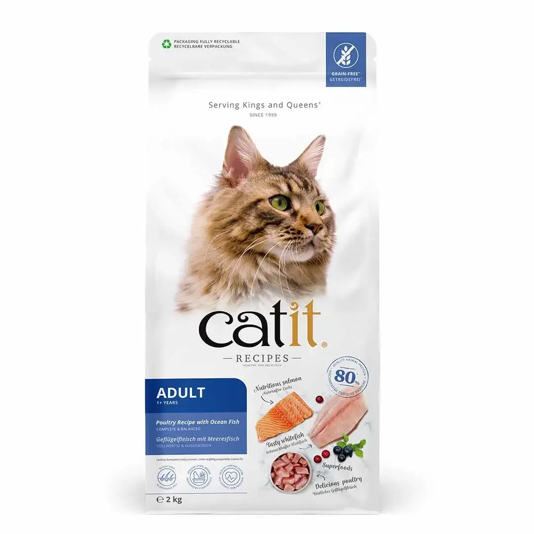 CA Recipes Adult Fish 2kg - Image 2