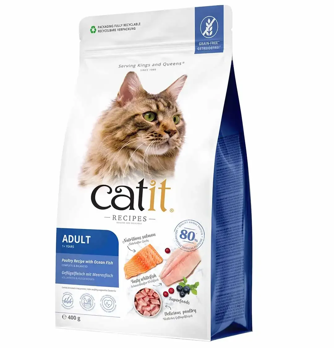 CA Recipes Adult Fish 400g