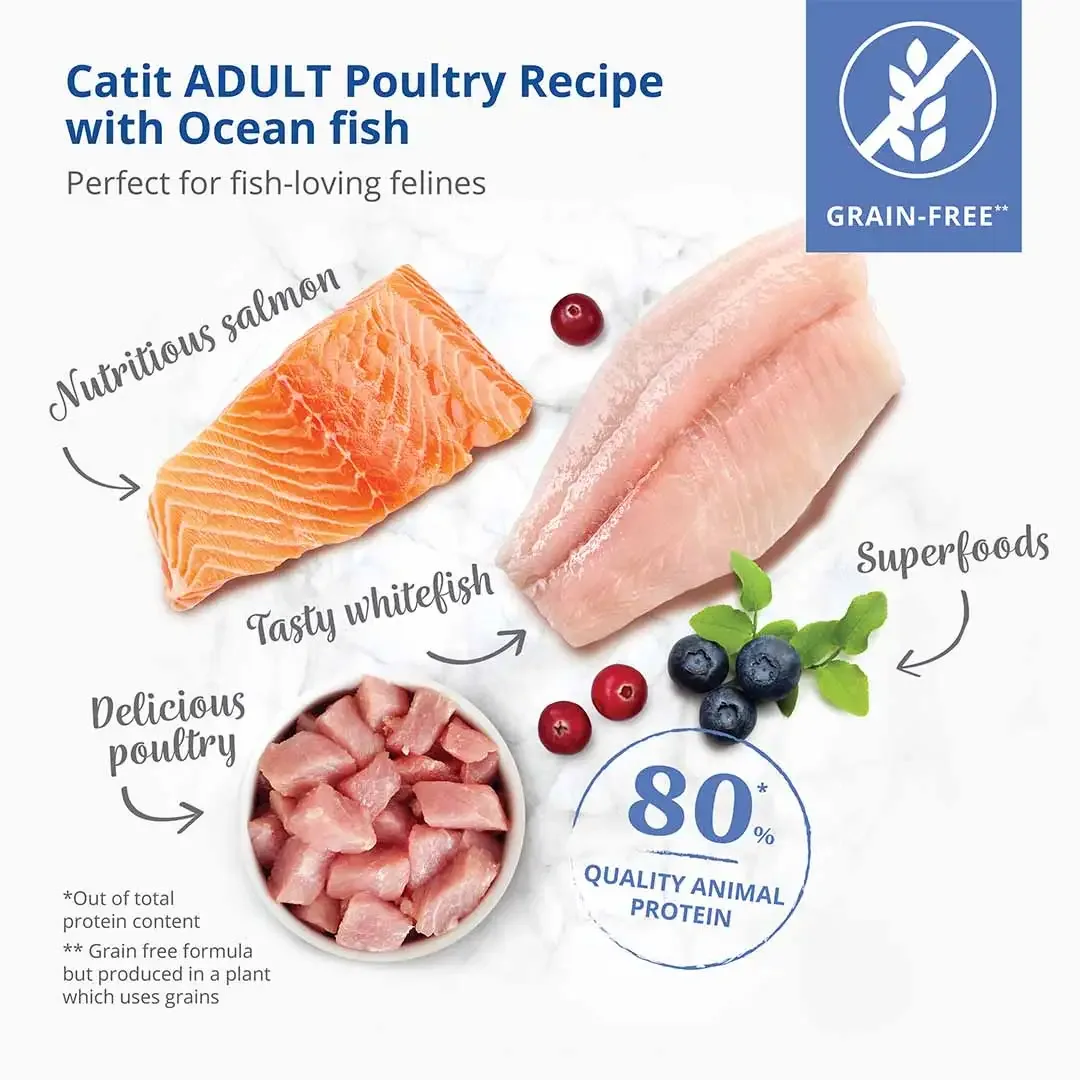 CA Recipes Adult Fish 400g - Image 2