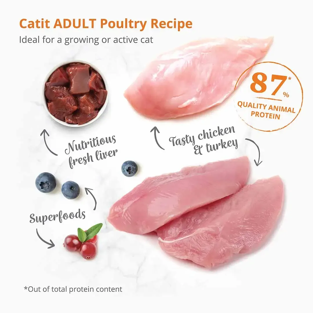 CA Recipes Adult Poultry 400g - Image 2