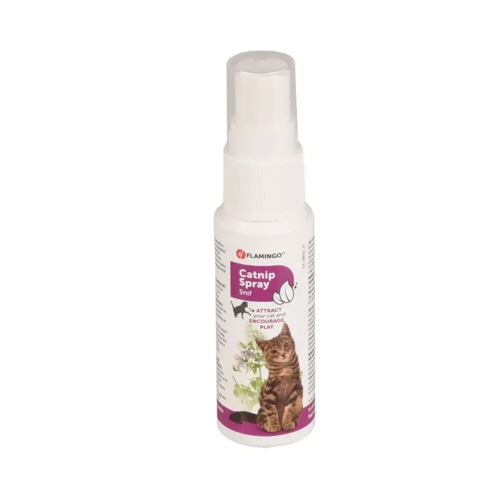 Catnip Spray – Kattenkruid