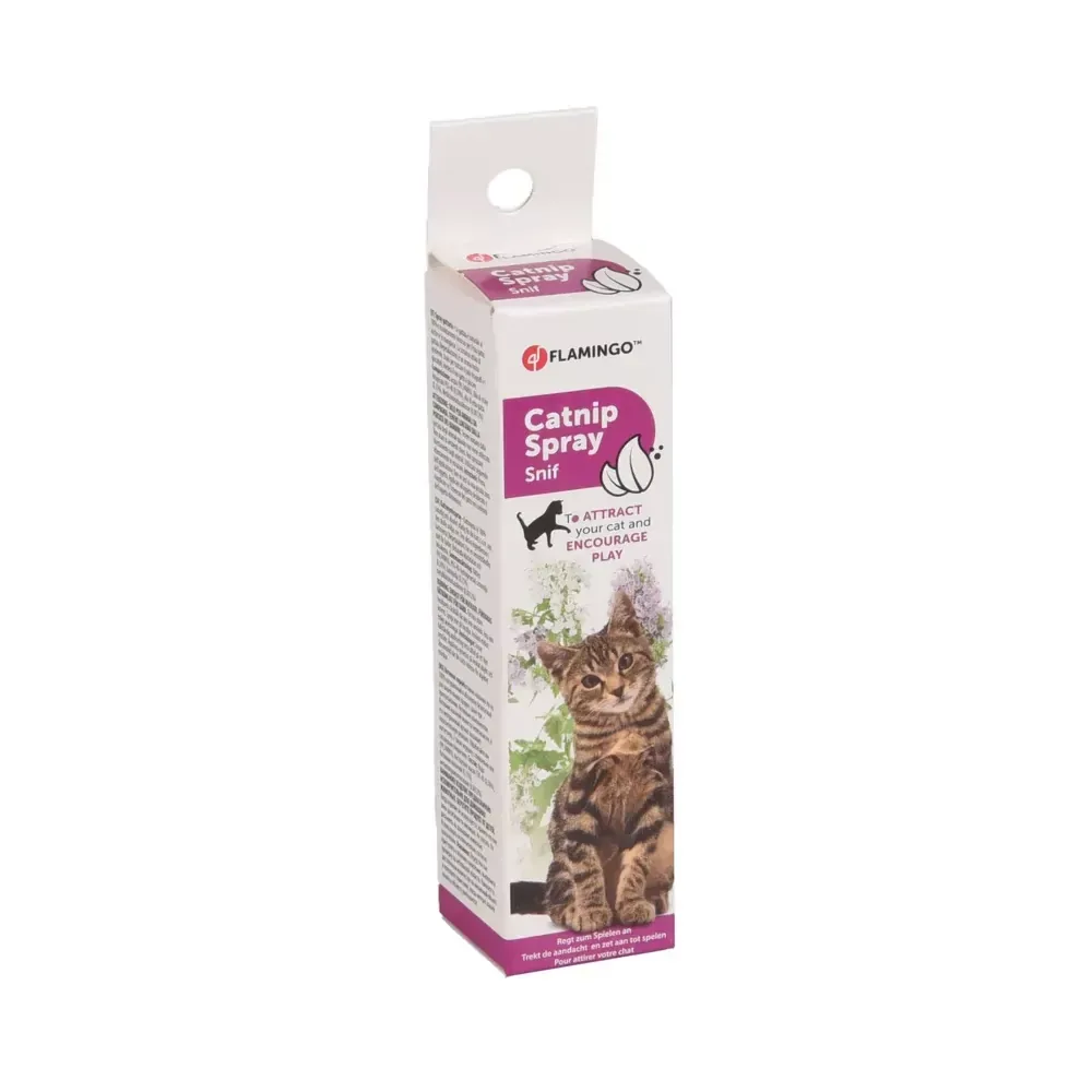 Catnip Spray – Kattenkruid - Image 2
