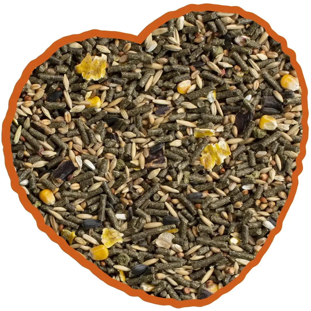 Cavia Muesli - Image 2