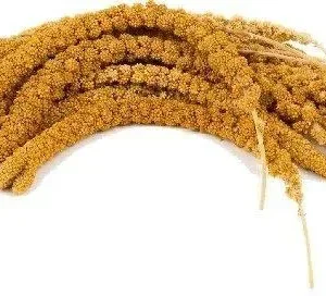 Chinese Trosgierst Geel (doos 15 kg)